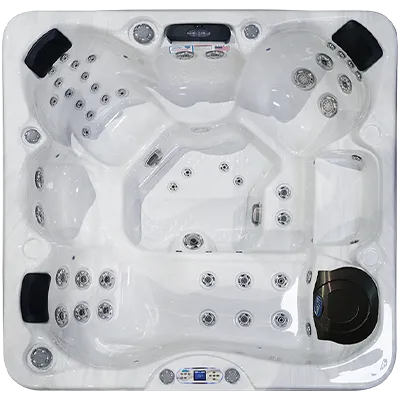 Avalon EC-849L hot tubs for sale in Gastonia
