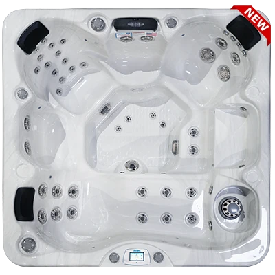 Avalon-X EC-849LX hot tubs for sale in Gastonia