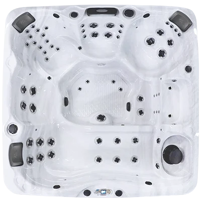 Avalon EC-867L hot tubs for sale in Gastonia